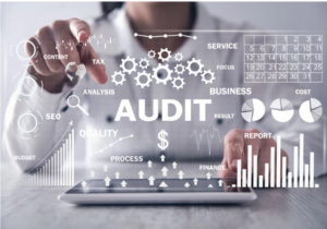 Project Audits and Verifications